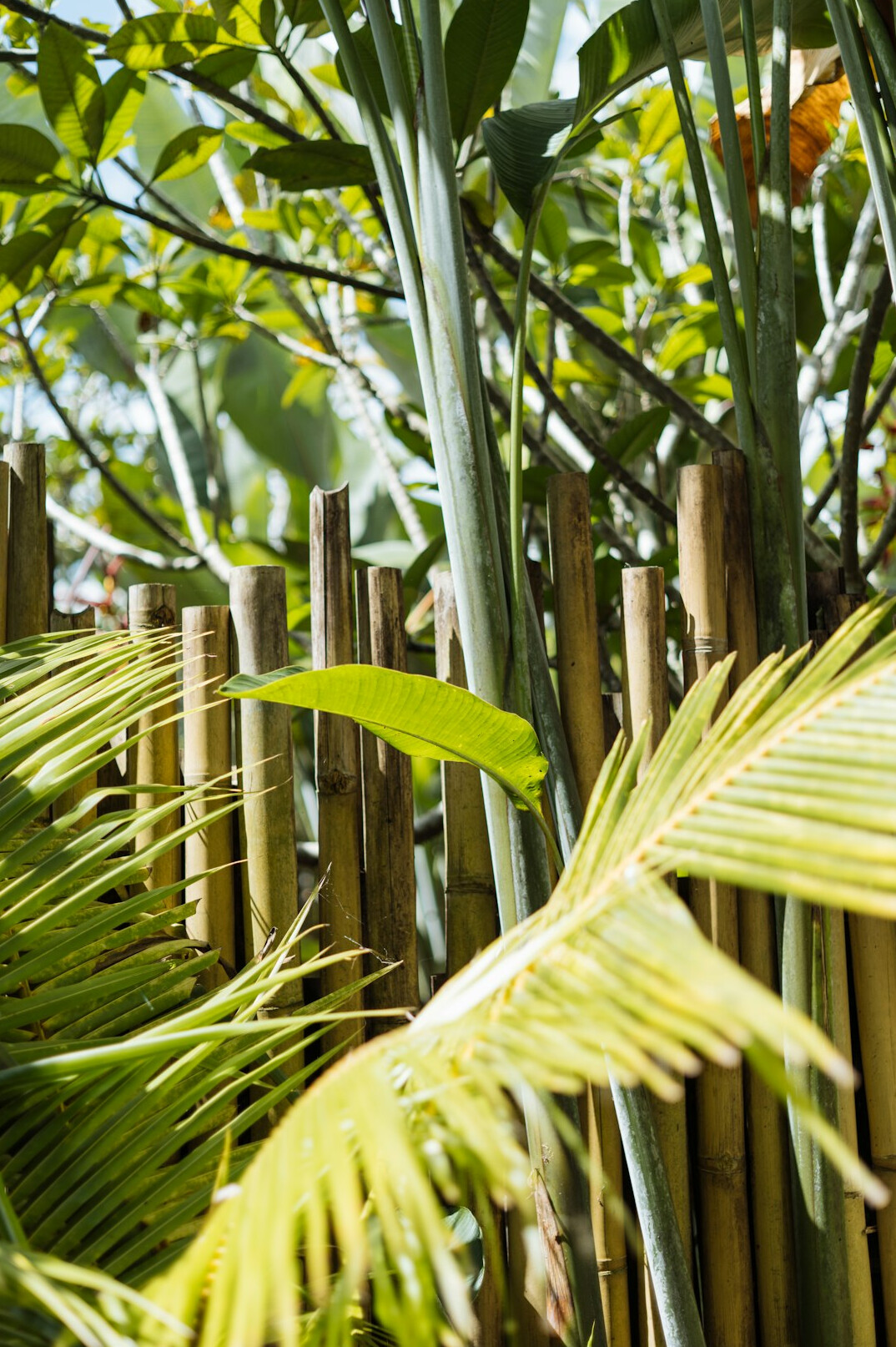 bali jungle villa