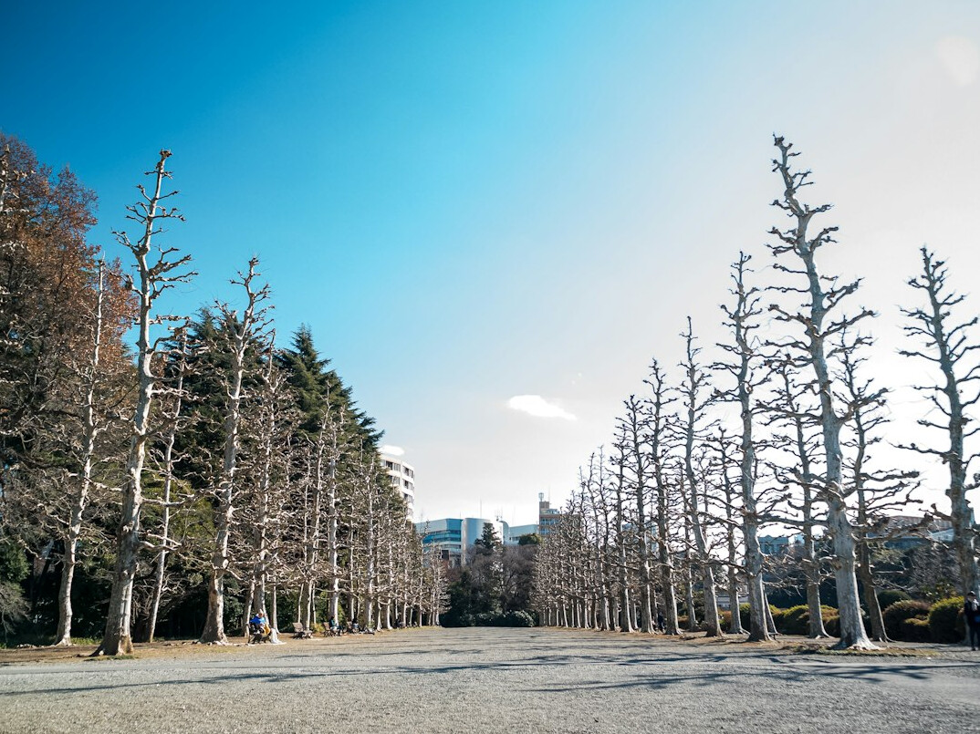 tokyo park walk